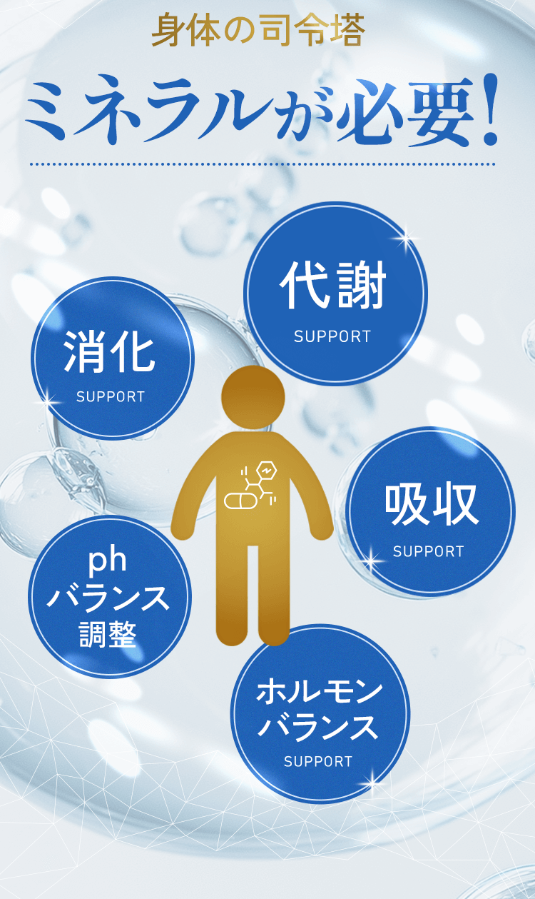 身体の司令塔 ミネラルが必要!